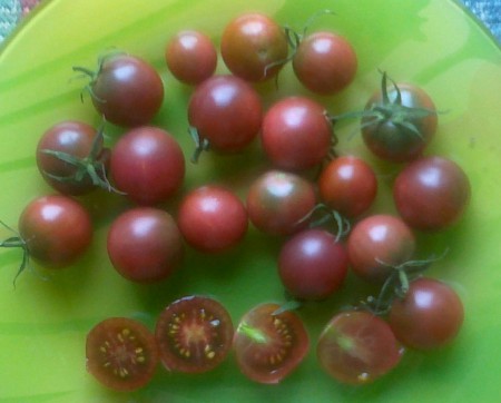 Black cherry